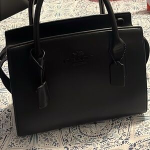 Large Andrea Carryall Bag